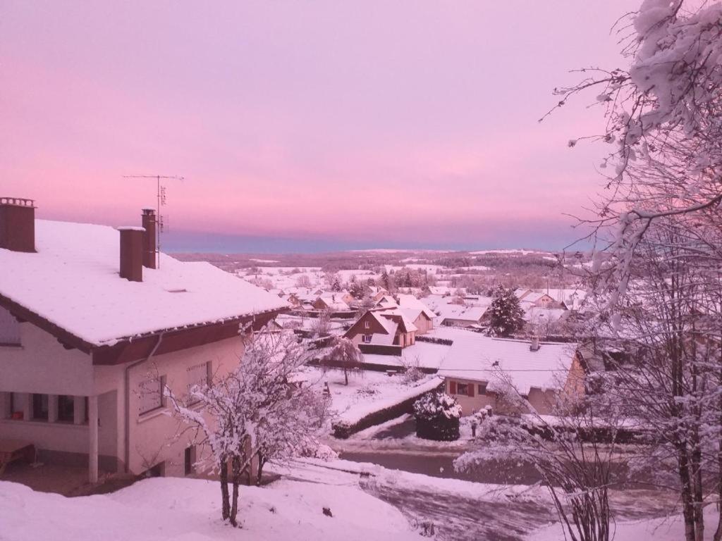 Appartement Le P'tit Chasseral *